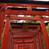 そびえる