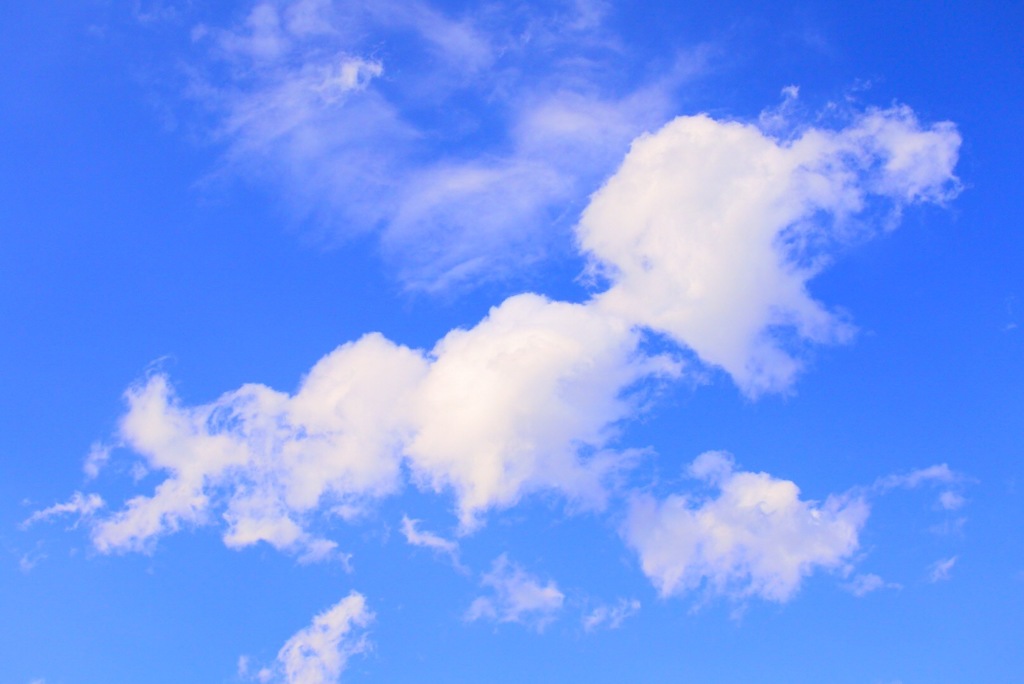 はらぺこあおむし