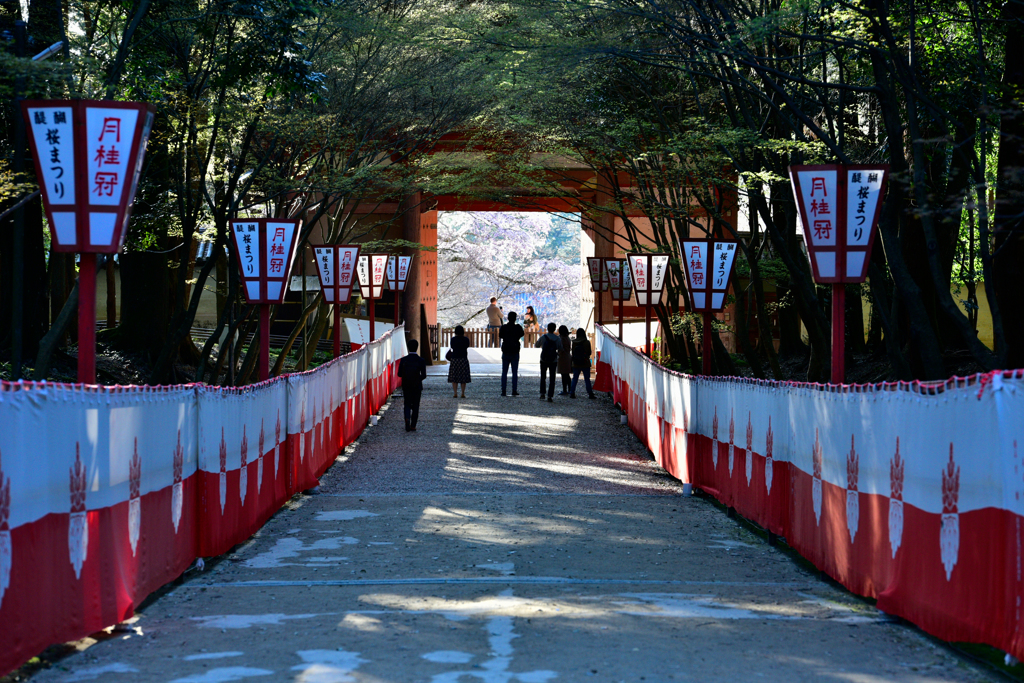 午後の醍醐寺