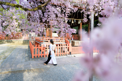 早朝の神社