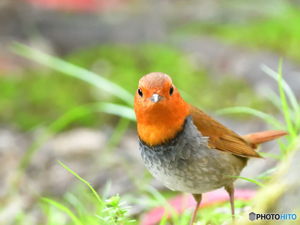 綺麗に撮ってね
