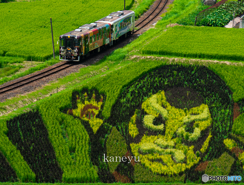 明智鉄道と田んぼアート①