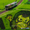 明智鉄道と田んぼアート①