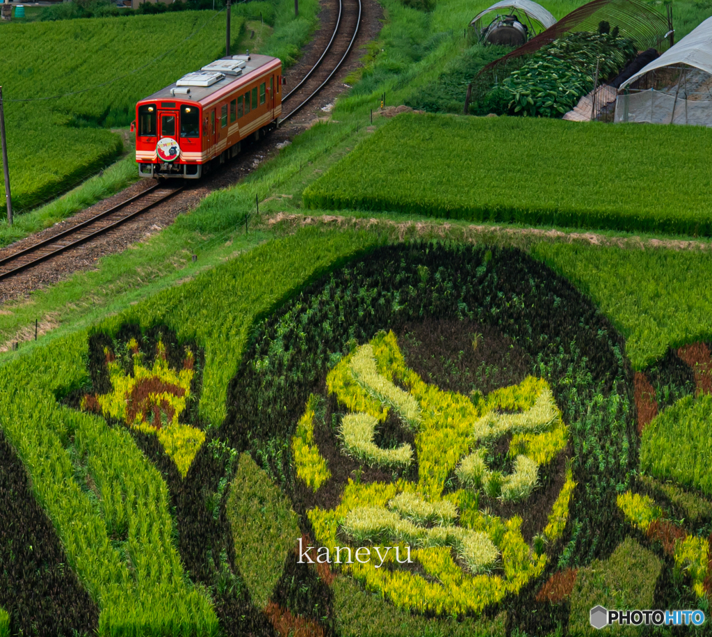 明智鉄道と田んぼアート②