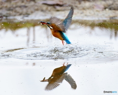 水鏡