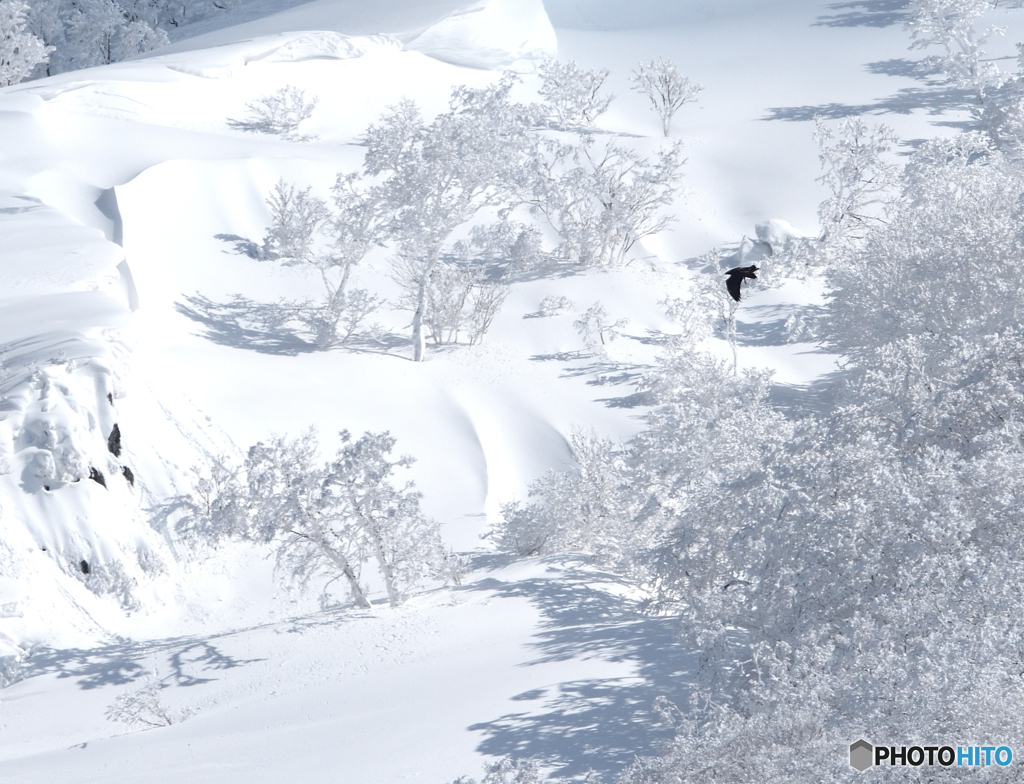 伊吹山雪景色