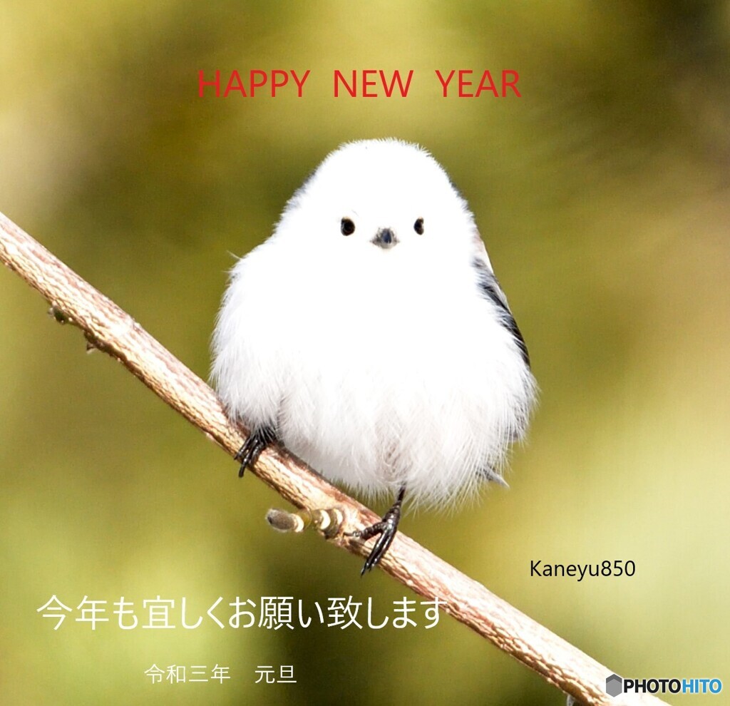 あけましておめでとうございます