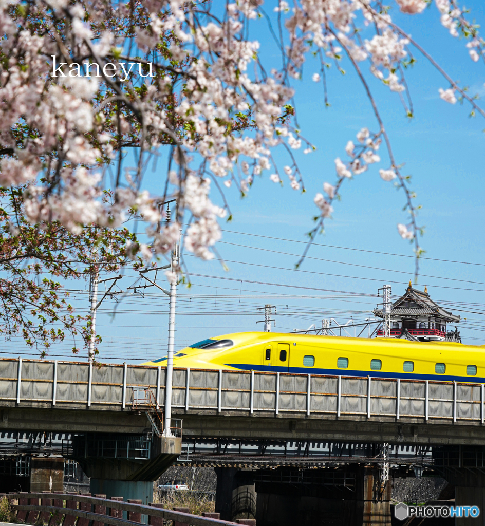 ドクターイエローと桜とお城
