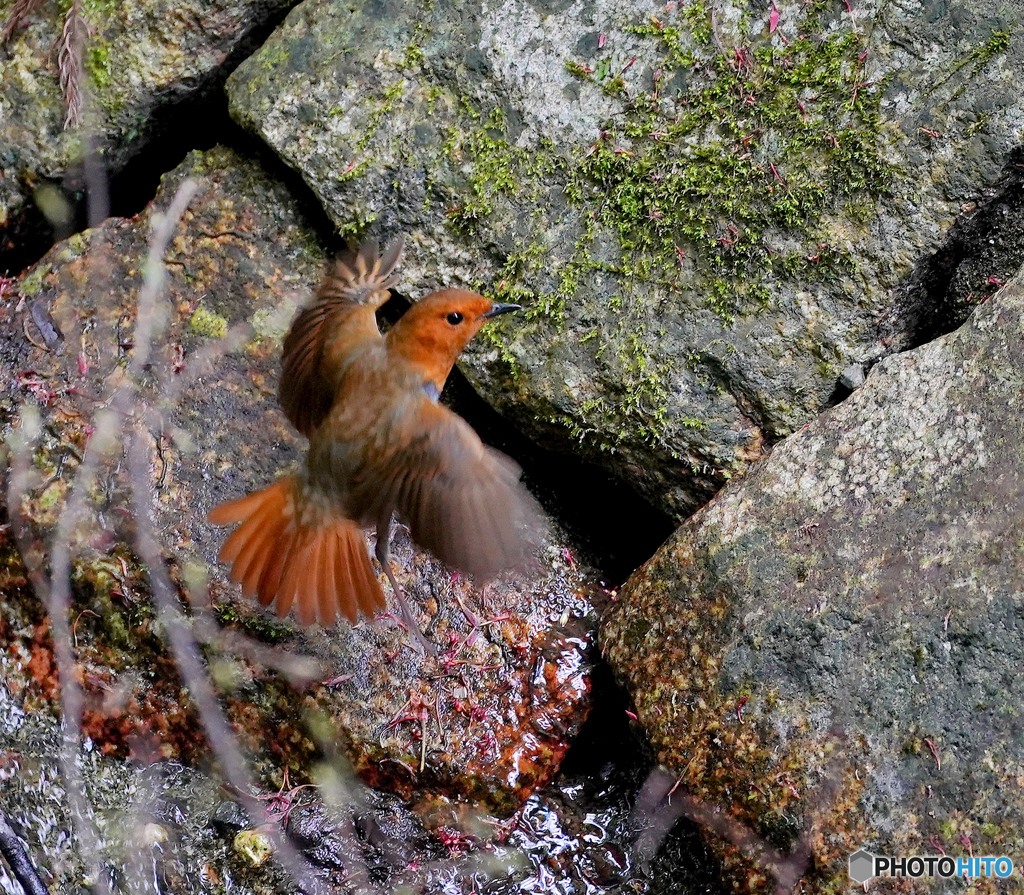 飛んでまーす(^＠^:）①