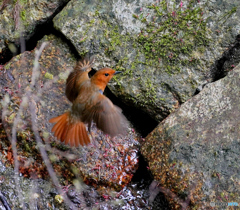 飛んでまーす(^＠^:）①