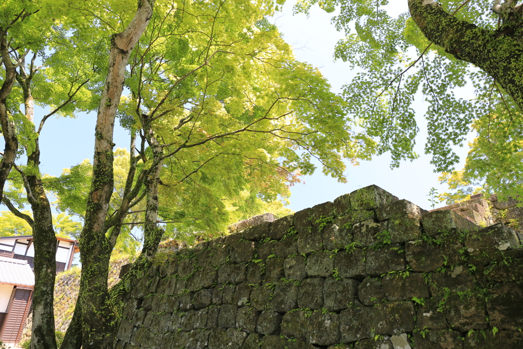 岡城跡〜②