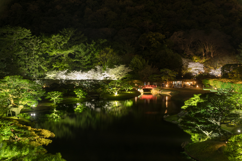 夜の栗林公園：ライトアップ