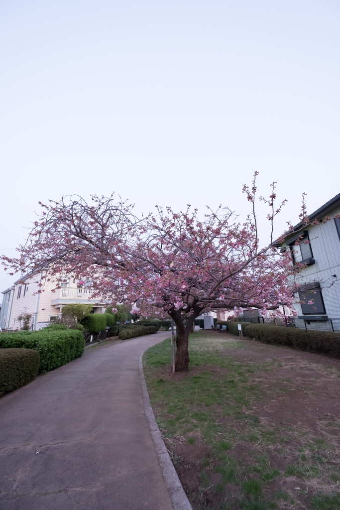 DSCF1277