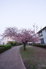 DSCF1277