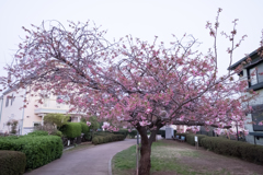 DSCF1276
