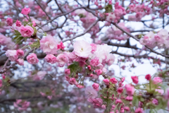 DSCF1282