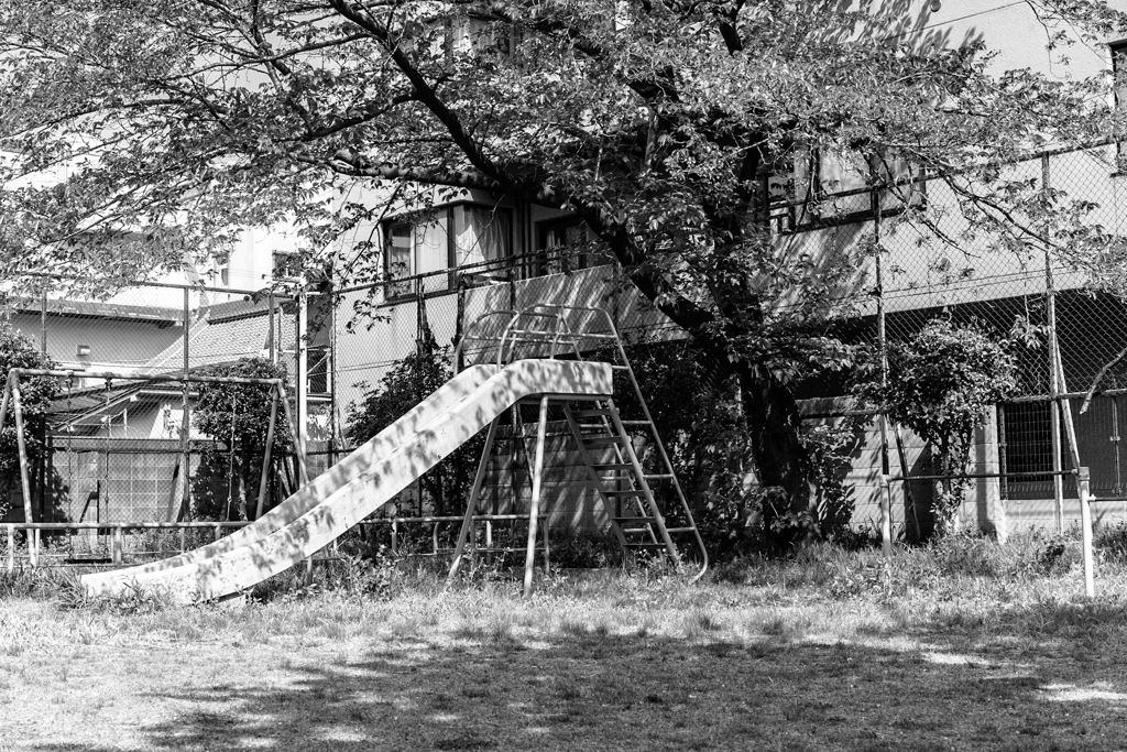 新緑の公園