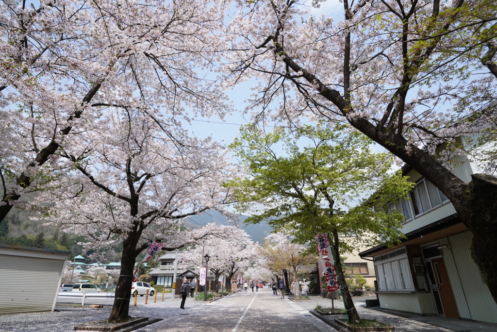 華厳寺への参道