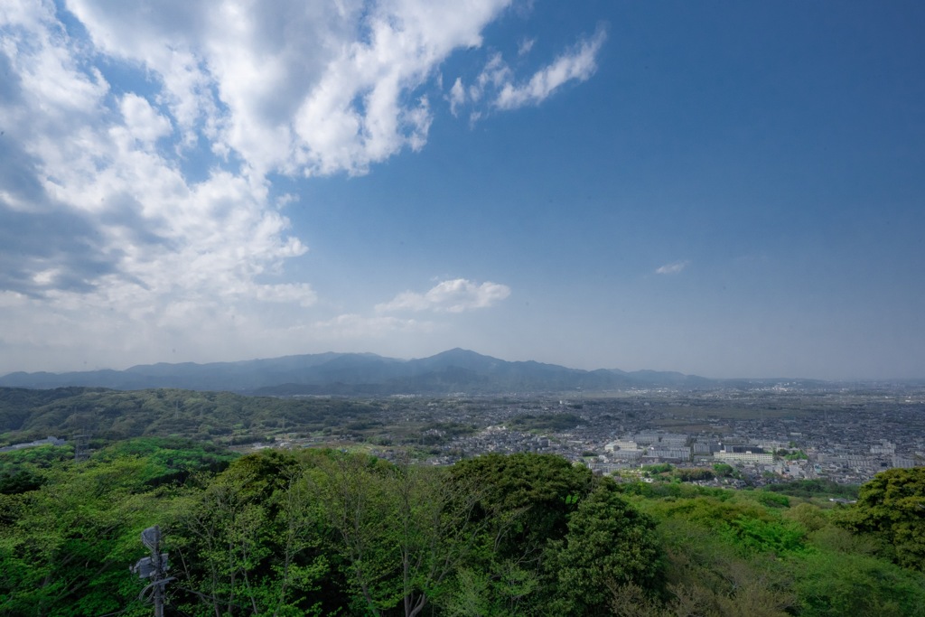 湘南平から海を望む