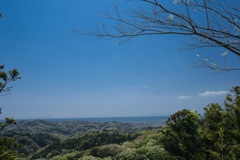 大平山から海を望む