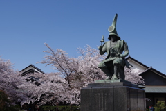加藤清正公と桜
