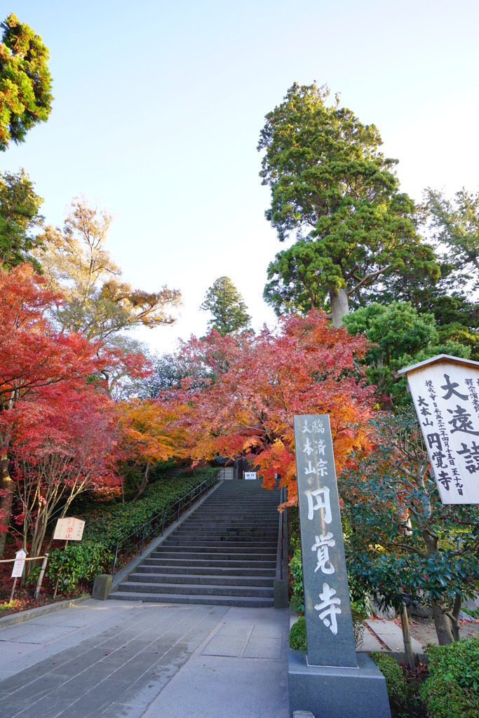 DSC02207
