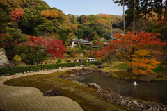 DSC02241