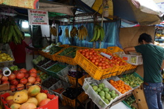 DSC01491