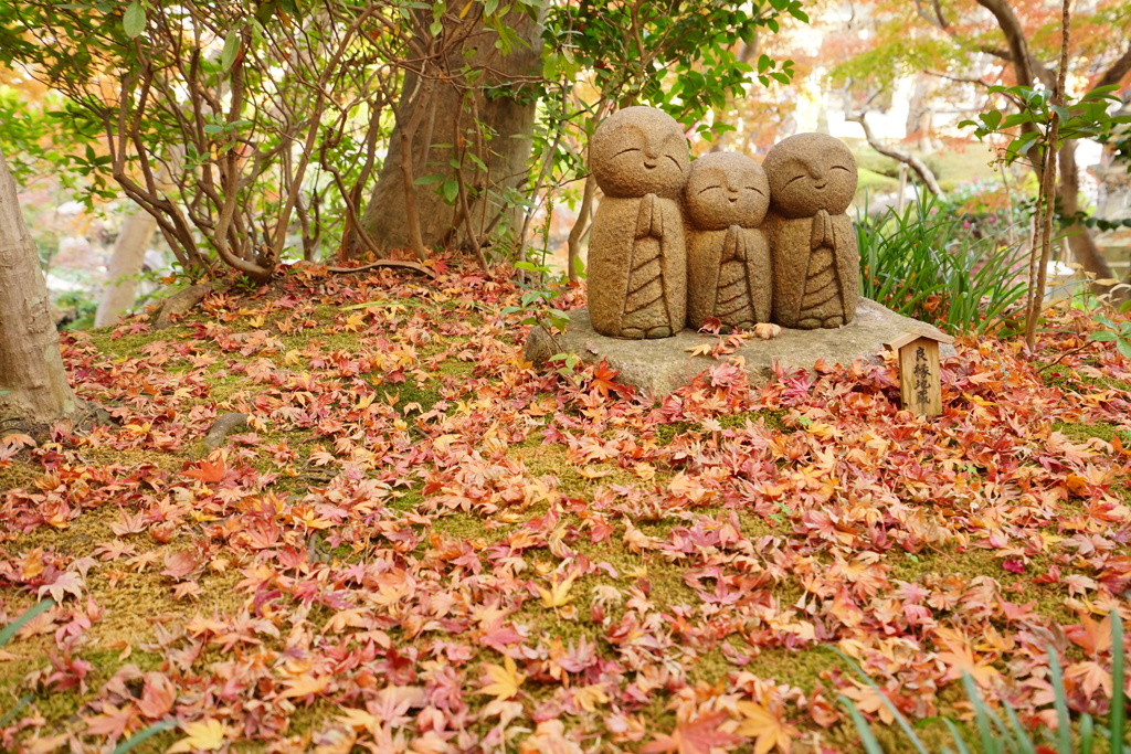 鎌倉紅葉