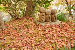 鎌倉紅葉