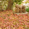 鎌倉紅葉