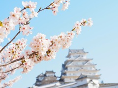 散策②