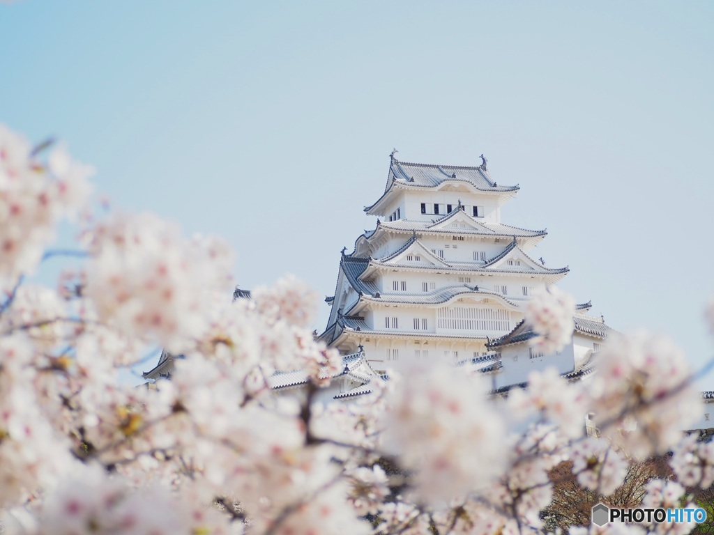 桜キャッスル