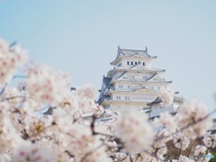 桜キャッスル