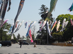 吉備津彦神社　1