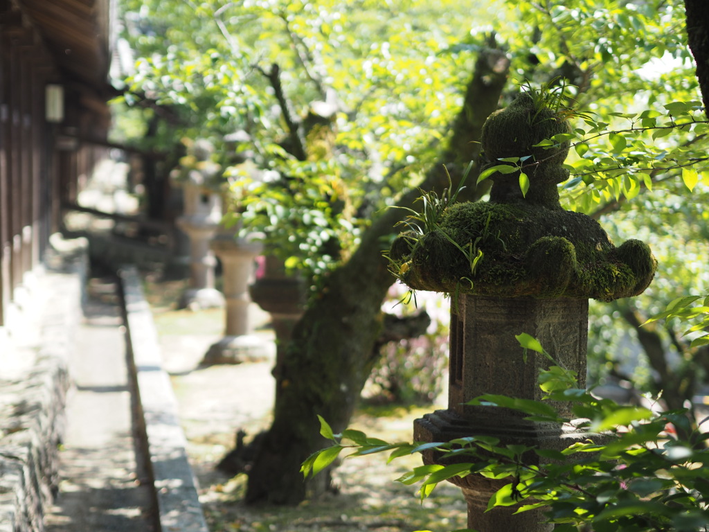 吉備津神社　１