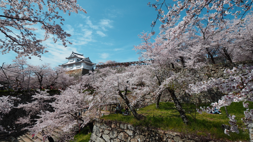 花の城