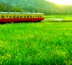 小湊鉄道