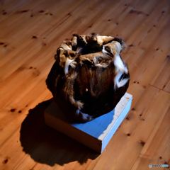 富士芸術村　遠藤和帆展②