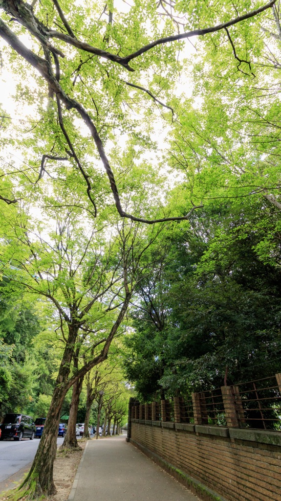 東山動物園一万歩コースその1