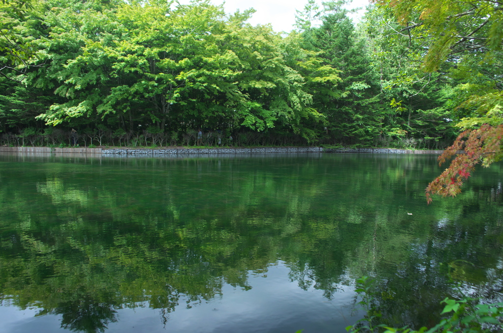「雲場」の池　Ⅲ