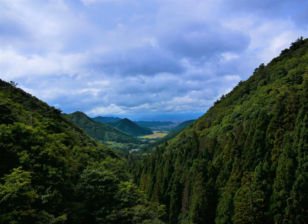 紅葉まであと何日？