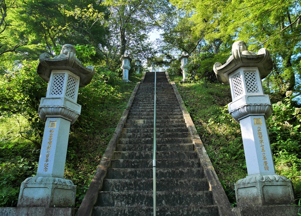 早朝、近くのお寺にて