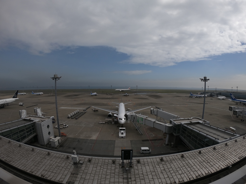 羽田空港にて
