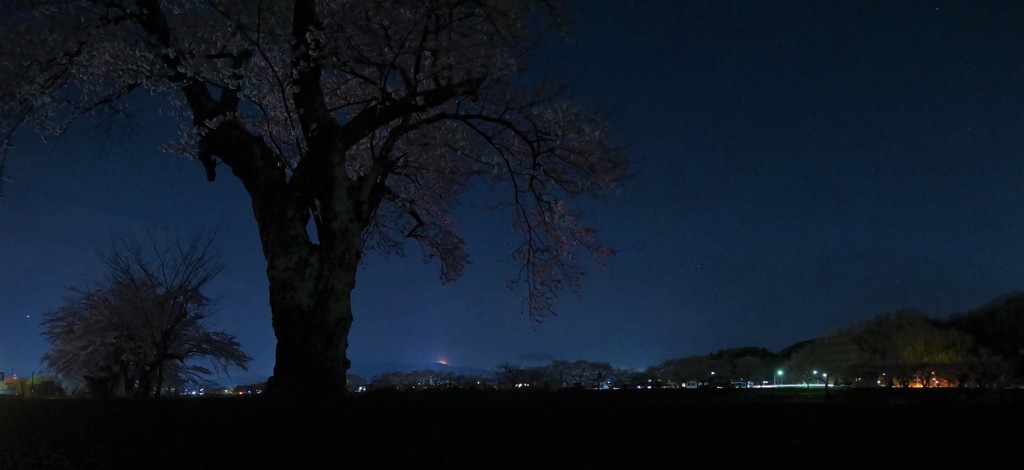 一目千本桜