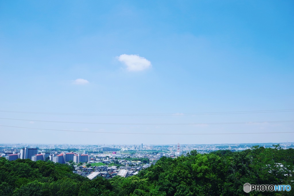 豊田市自然観察の森展望台