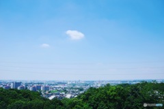 豊田市自然観察の森展望台