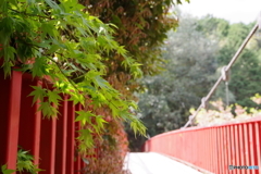 中之瀬大橋