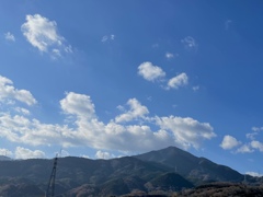 F7FD97A2-227C-4BFC-9E7A-59A687ADE5B9