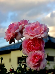 6DBC5E9A-868A-4878-8F8B-D89554E05480